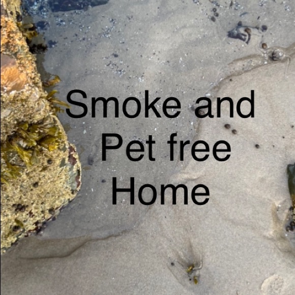 Meet your Posher, Amy: 700+ sales! 5⭐️rated seller! 4x posh party host. - Picture 10 of 10